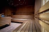 eFi Palace Wellness - finská sauna